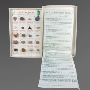 1963 Fossil Collection‎ Box Life in the Rocks Geology Science Educational 20 pc